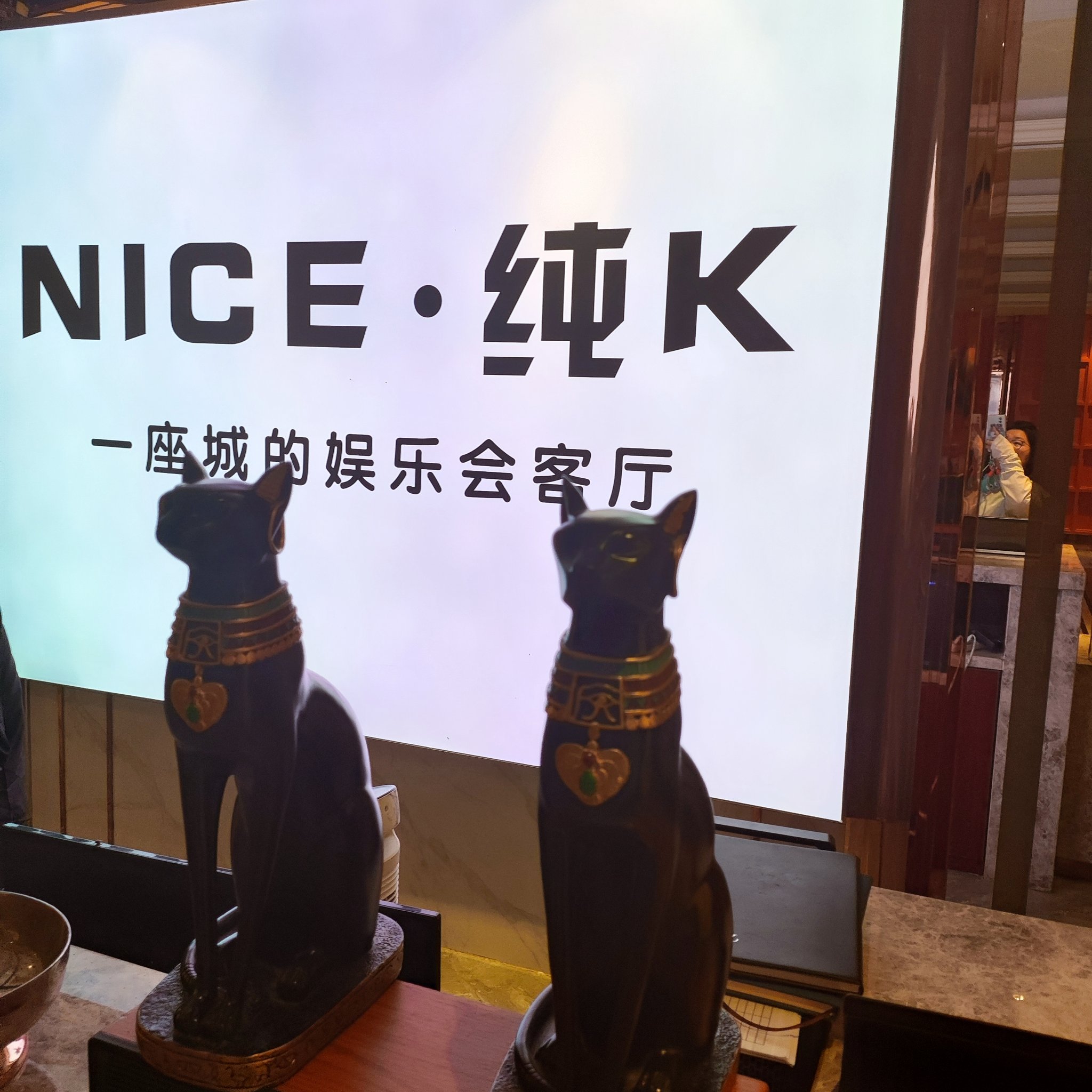 南阳ktv订房与商务ktv啥意思解析-桐柏县ktv订房